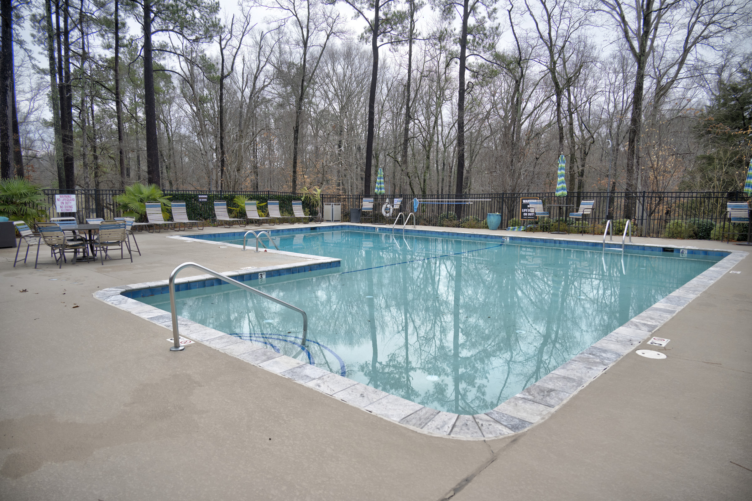 a pool in a wooded area with chairs and trees at The  Sawyer