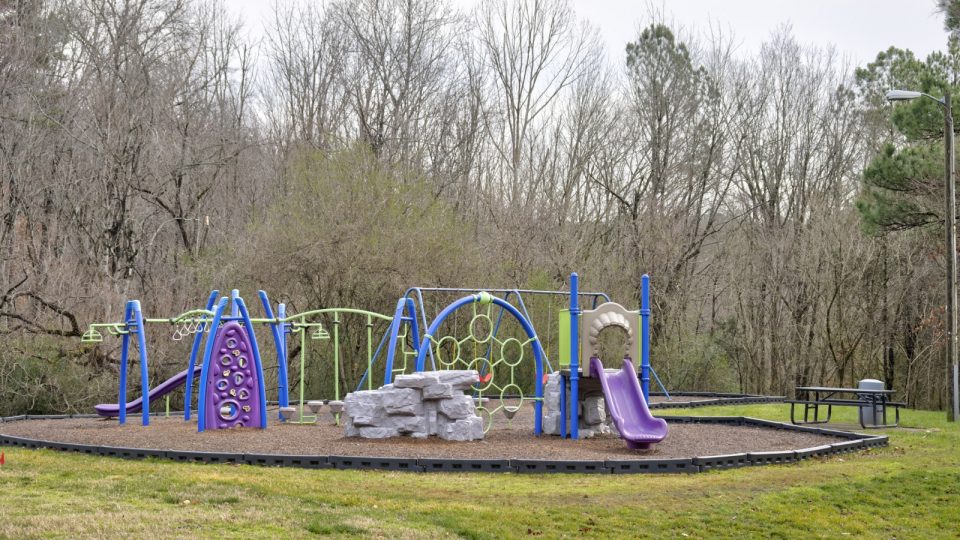 a playground with a blue slide and purple poles at The  Sawyer